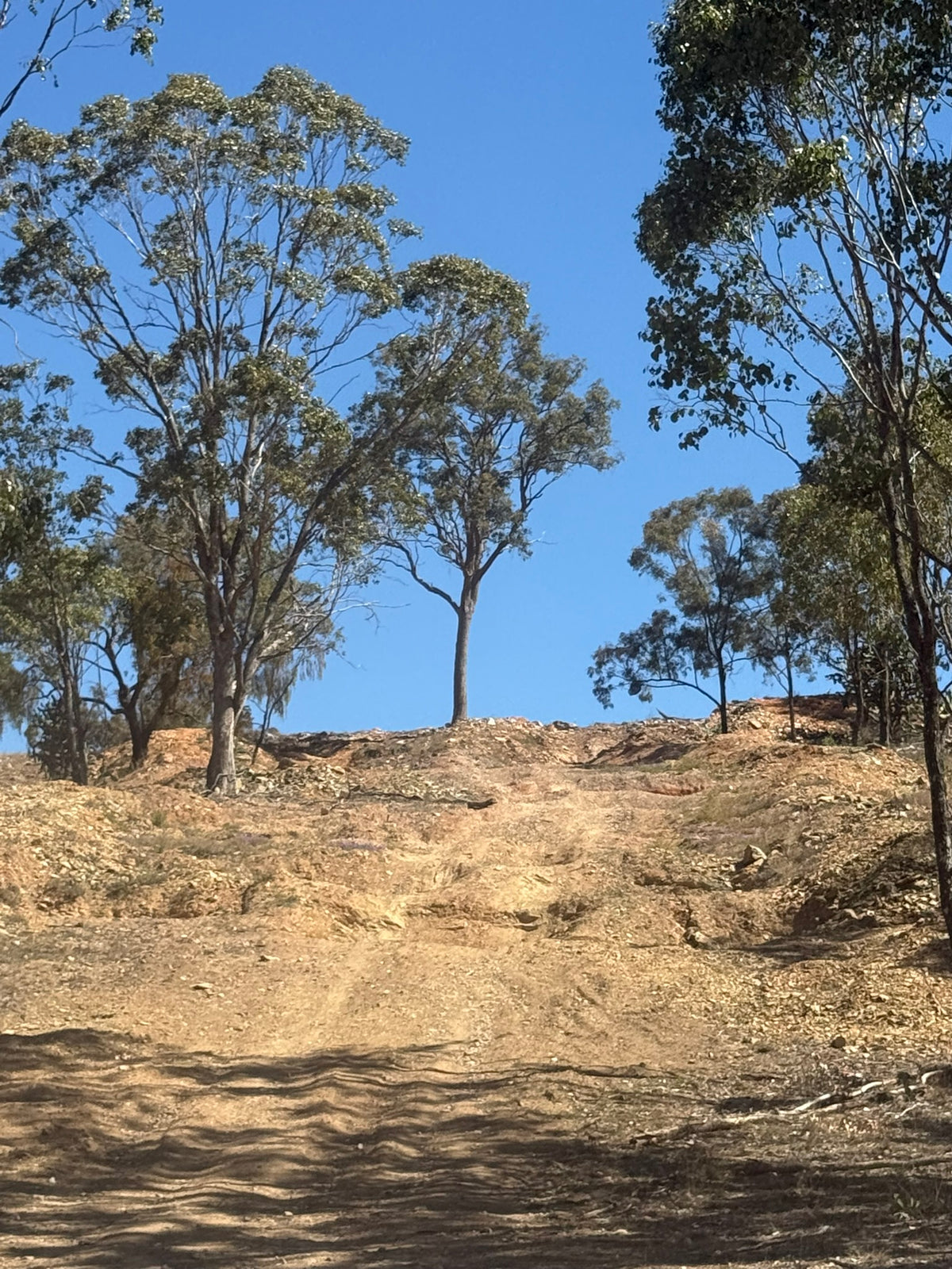 4X4 & Camping pass for up to 5 people