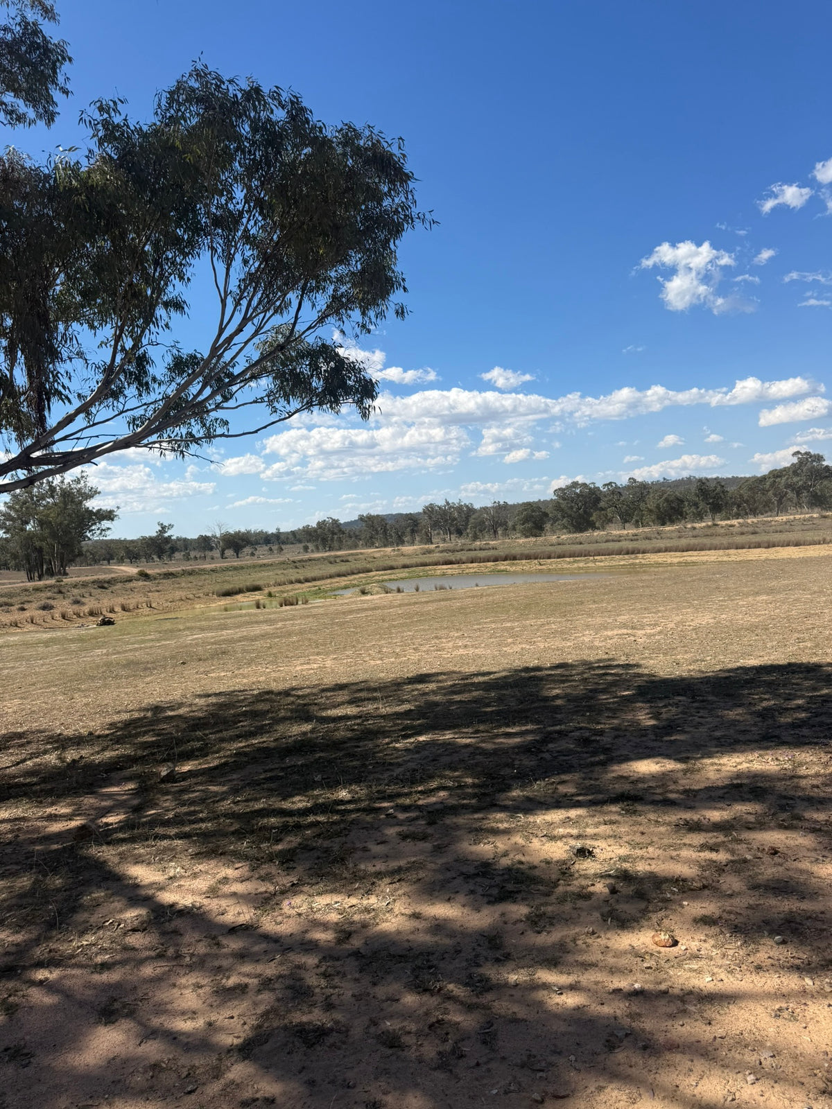 4X4 & Camping pass for up to 5 people