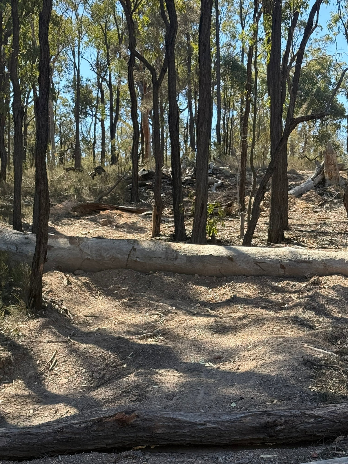 4X4 & Camping pass for up to 5 people